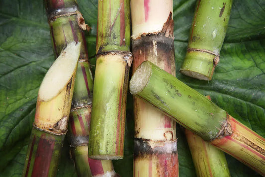 sugarcane used for decaffeination