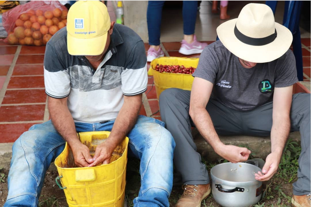 Finca El Paraiso in Cauca, Colombia