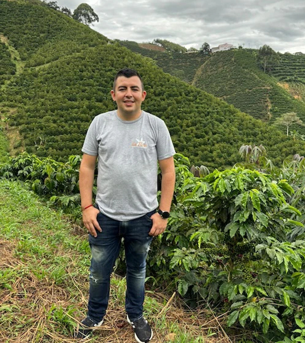 Man standing in a coffee plantation with green hills in the background
