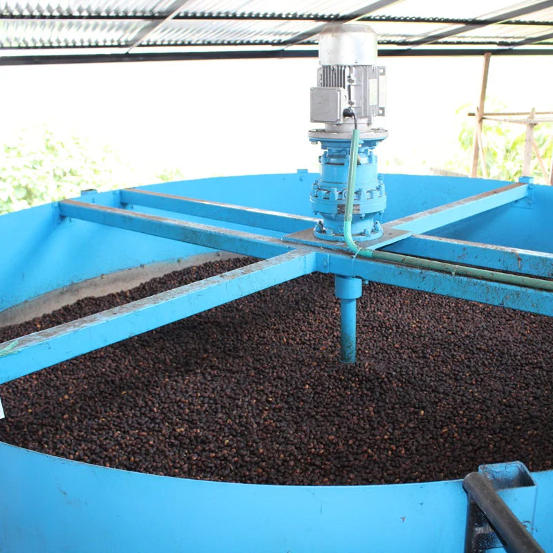 Coffee cherries from El Vergel Estate