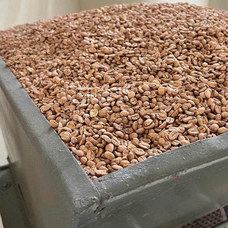 Decaf coffee beans from El Vergel Estate