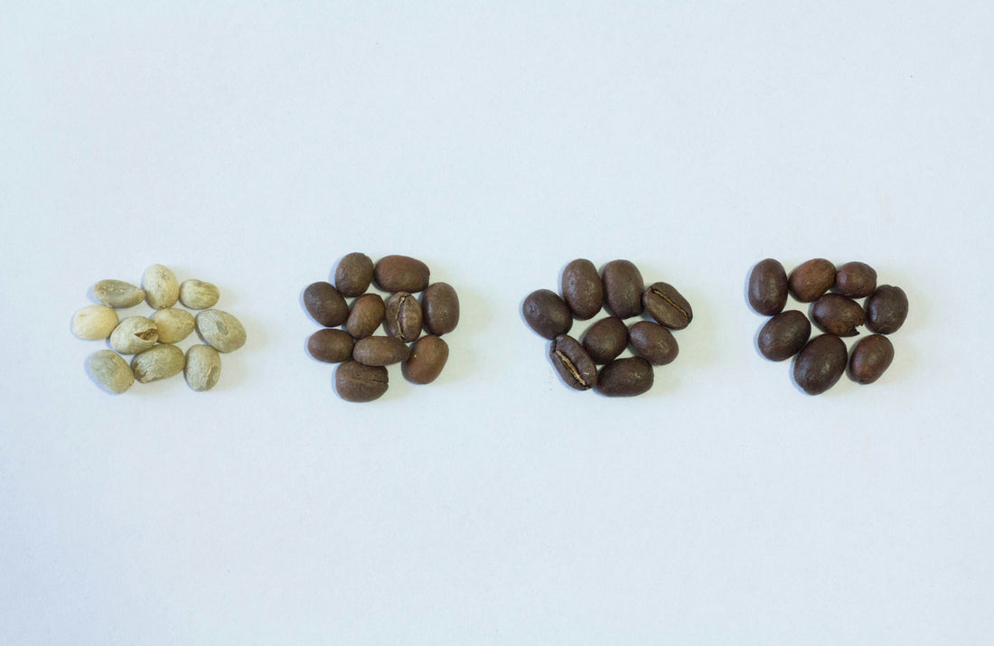 Roasted Coffee Beans