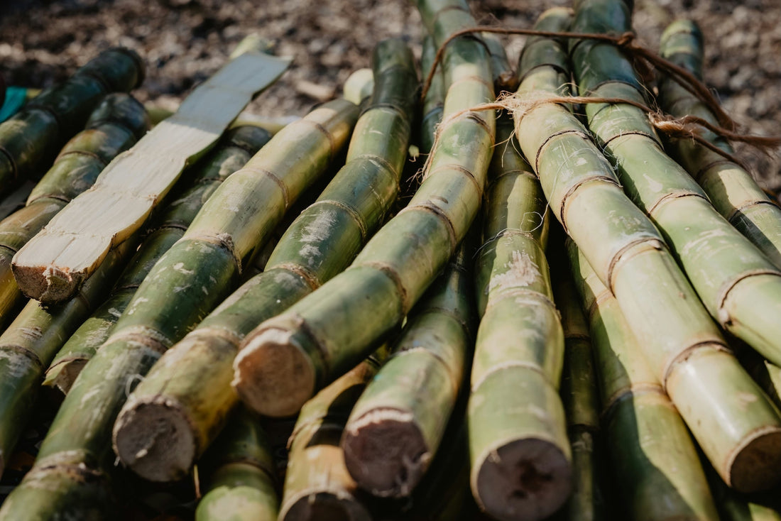 sugarcane used to decaffeinate coffee