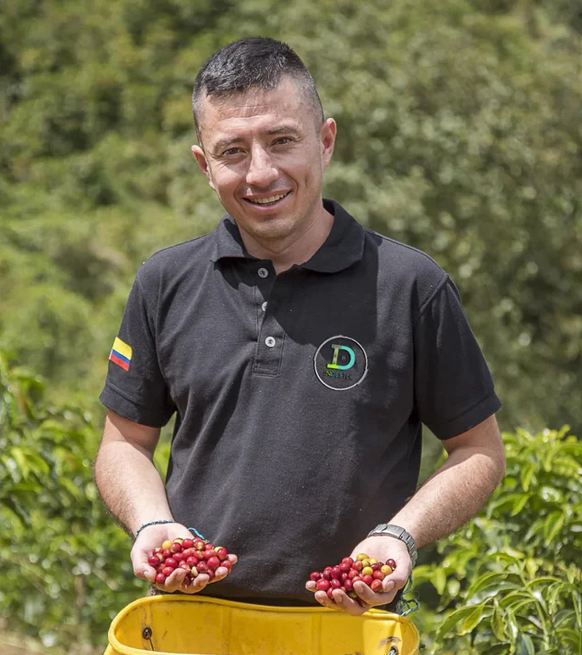 Lychee Peach Decaf Coffee | Finca El Paraíso Colombia – Frequent