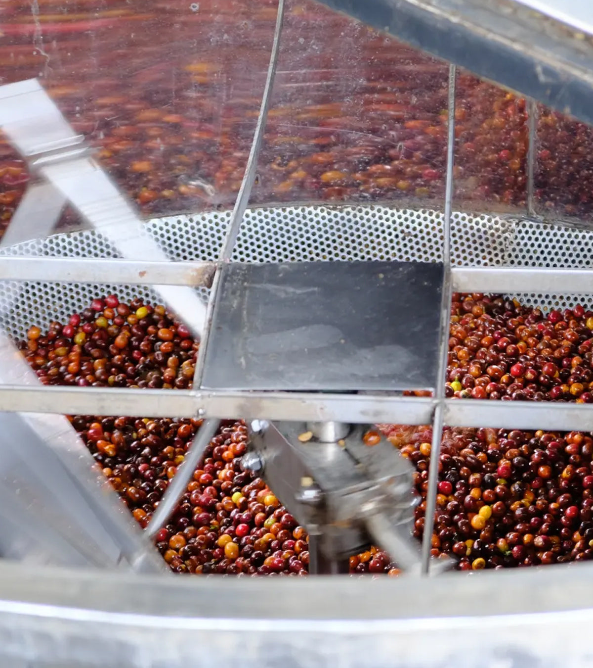 Lychee Peach Decaf Coffee | Finca El Paraíso Colombia – Frequent