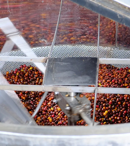 Finca el Paraiso Coffee Drying