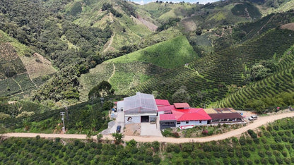 Pink Bourbon | Thermal Shock | Swiss Water® Decaf | Colombia