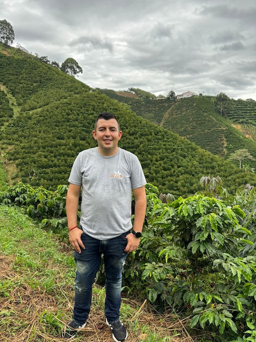 Colombian Pink Bourbon Decaf Coffee | Thermal Shock | Swiss Water