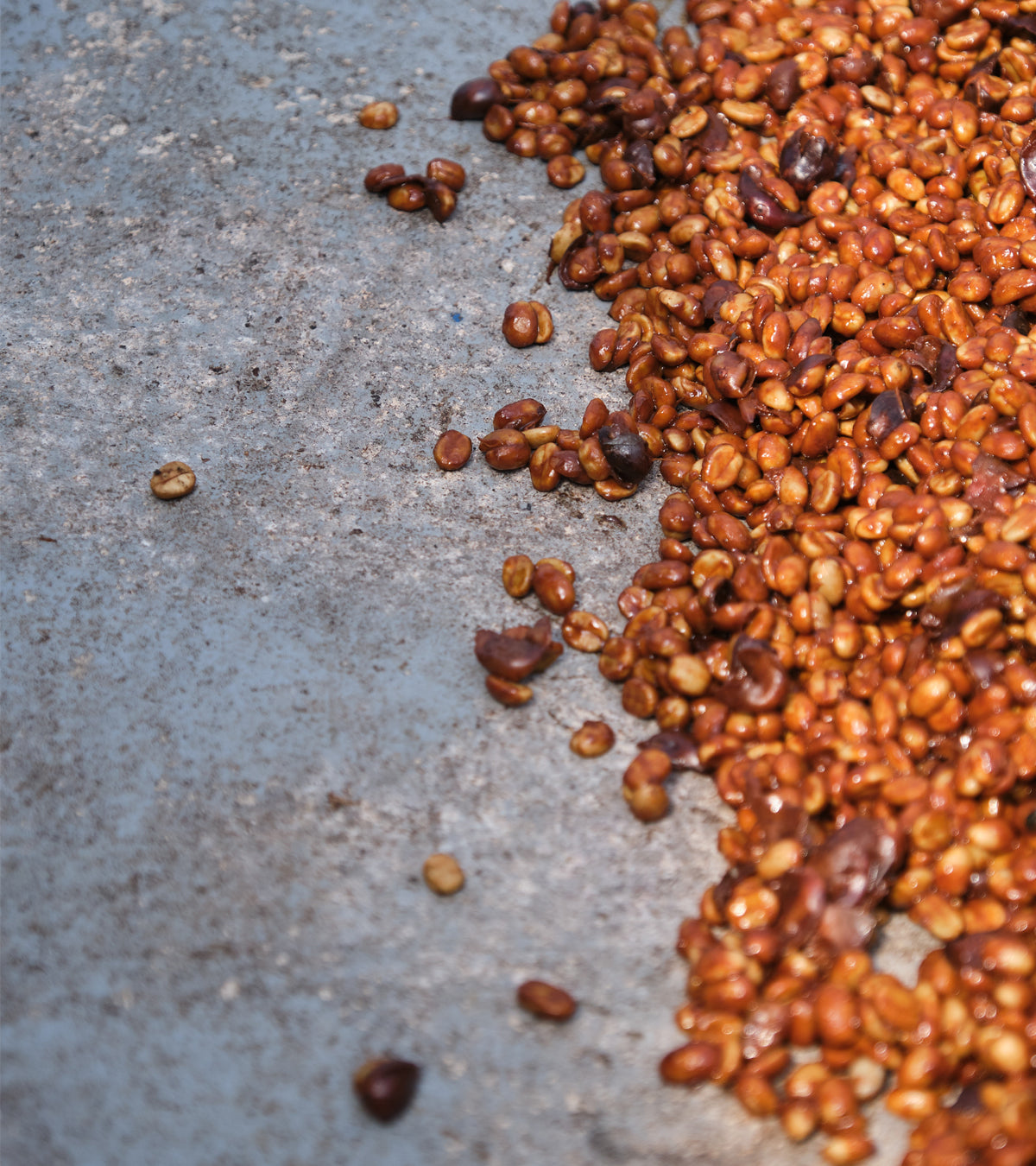 Laurina | Black Honey | Less Caf | Costa Rica