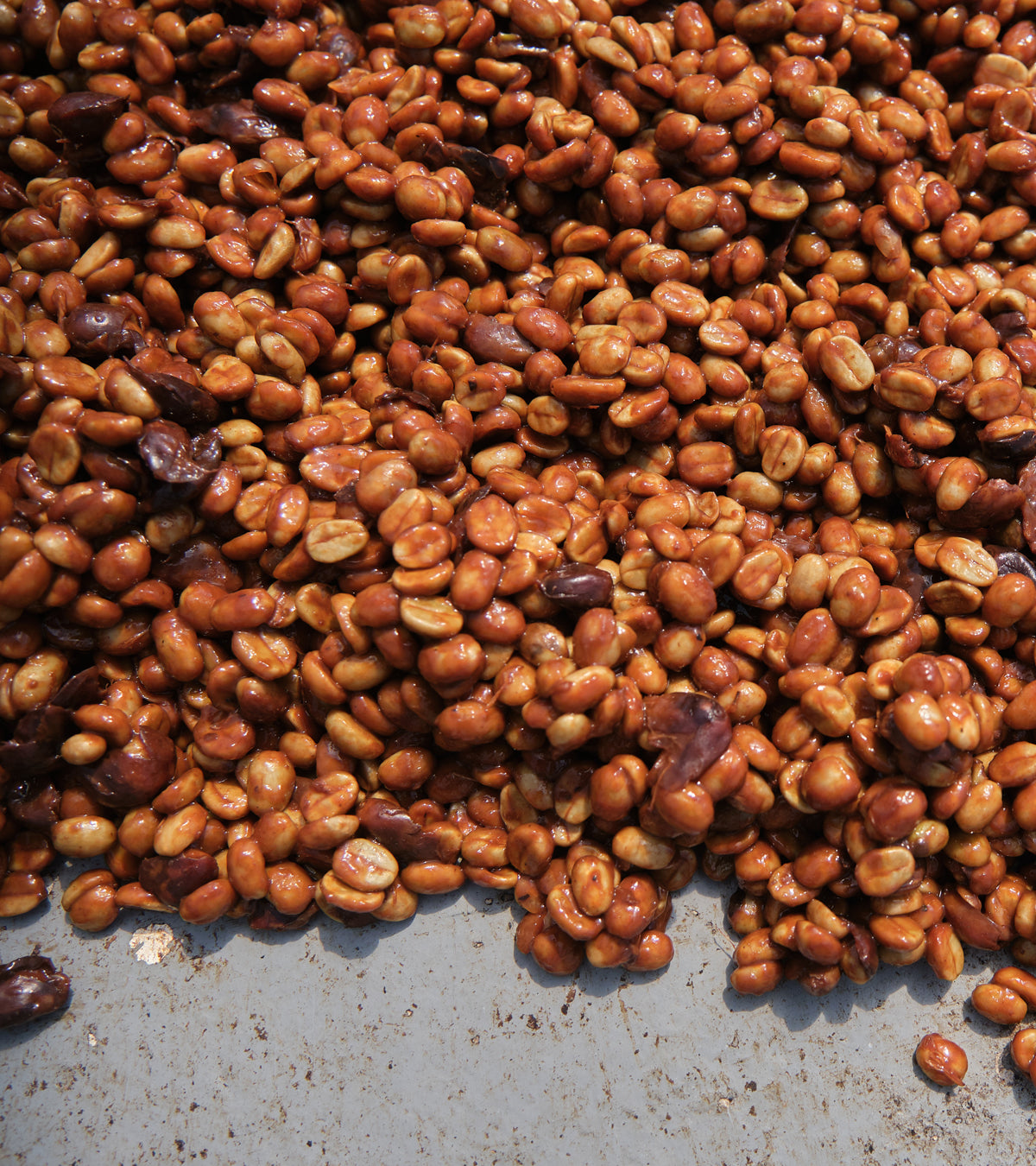 Laurina | Black Honey | Less Caf | Costa Rica
