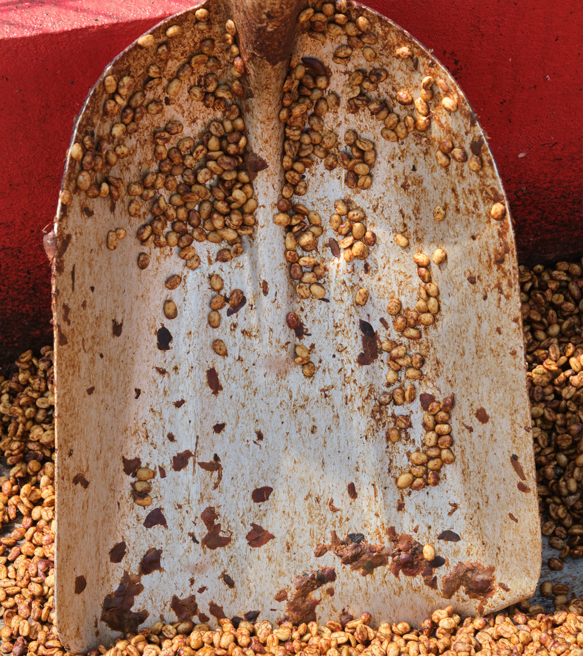 Laurina | Black Honey | Less Caf | Costa Rica