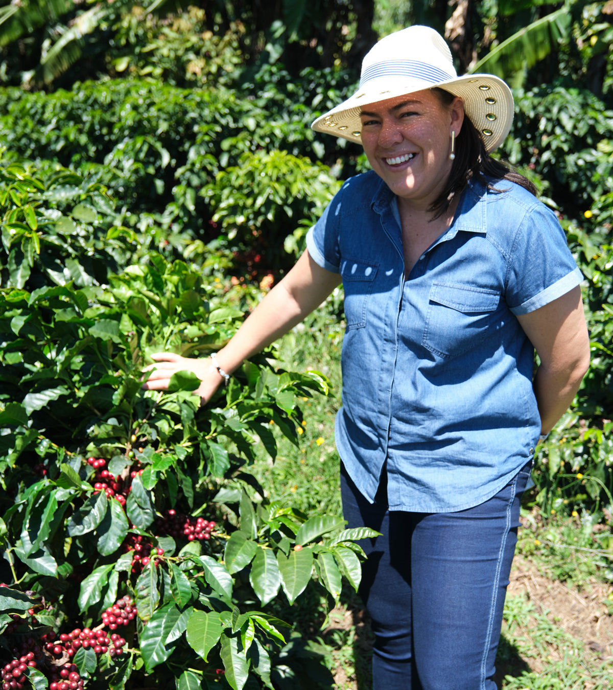 Laurina | Black Honey | Less Caf | Costa Rica