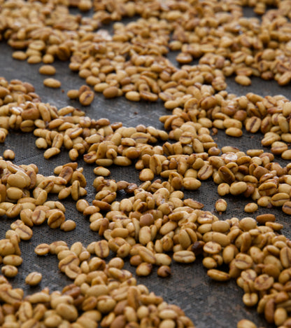 Roasted coffee beans on a dark surface