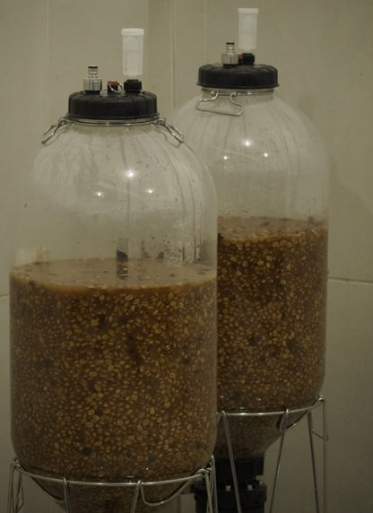 Nogales Typica decaf coffee fermenting