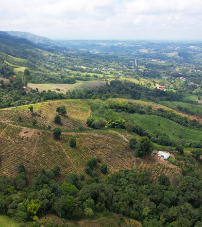 La Macarena Coffee Farm