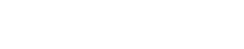 SDVoyager