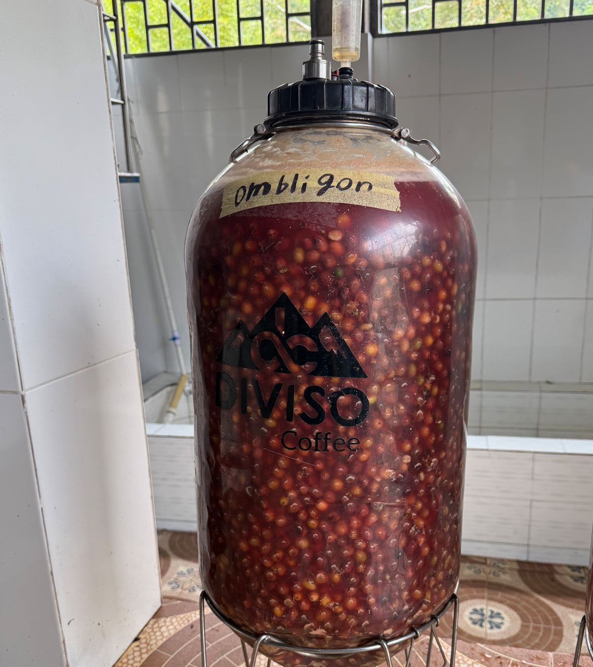 El Diviso Ombligon decaf fermenting