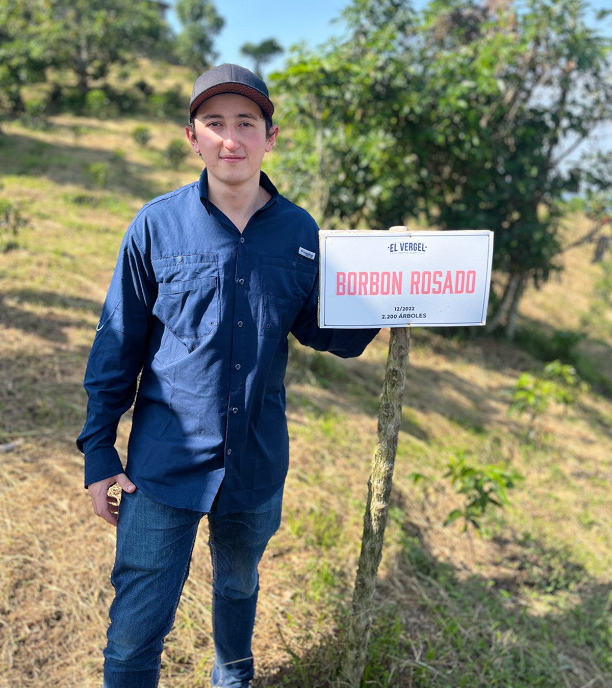 Person holding a box labeled 'Borbon Rosado' in a rural setting