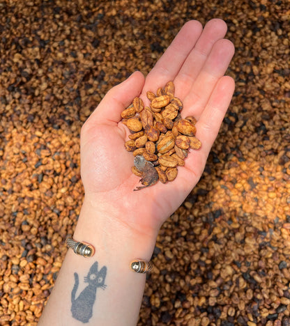 Hand holding roasted coffee beans with a textured brown background