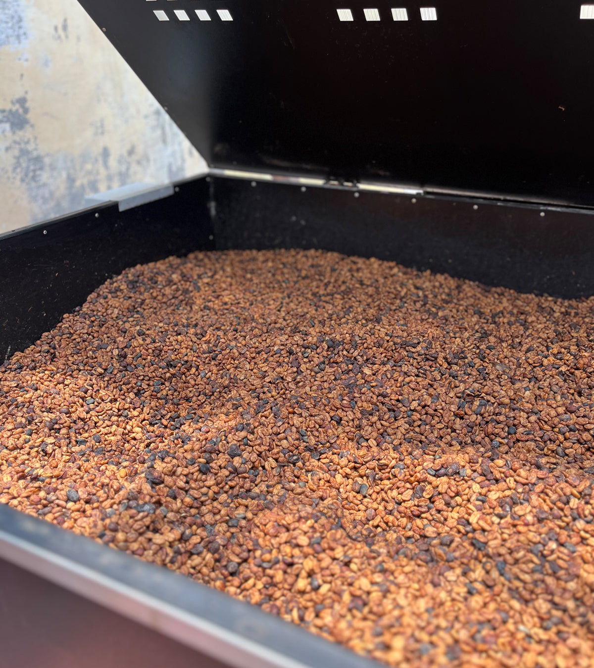 Coffee cherries in a black container